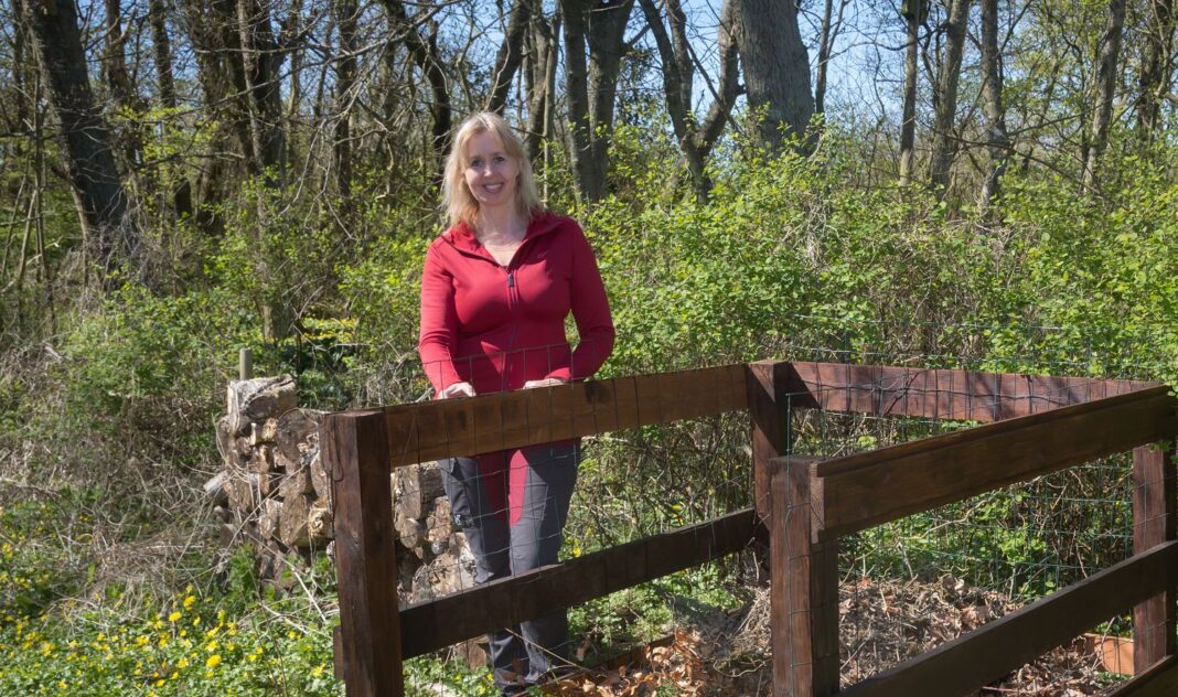 Lav din egen kompost