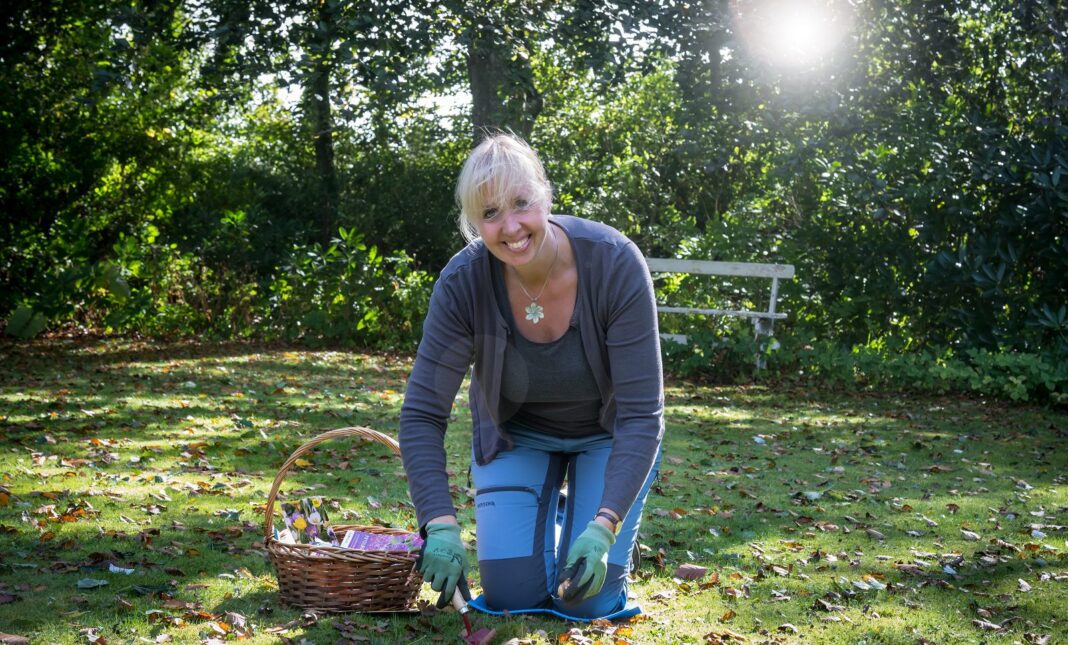 Læg blomsterløg om efteråret