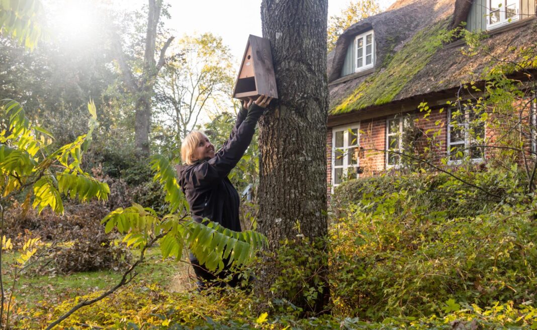 Opsæt redekasser til fuglene om efteråret