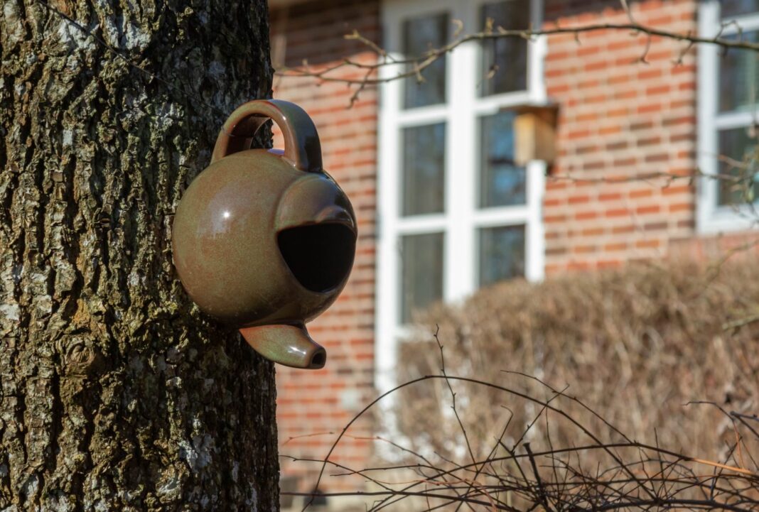 Tepotte til rødhalsen