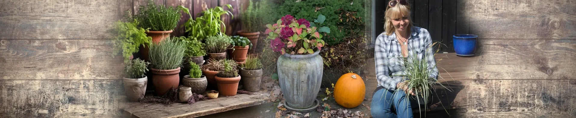Havekataloget - alt til haven